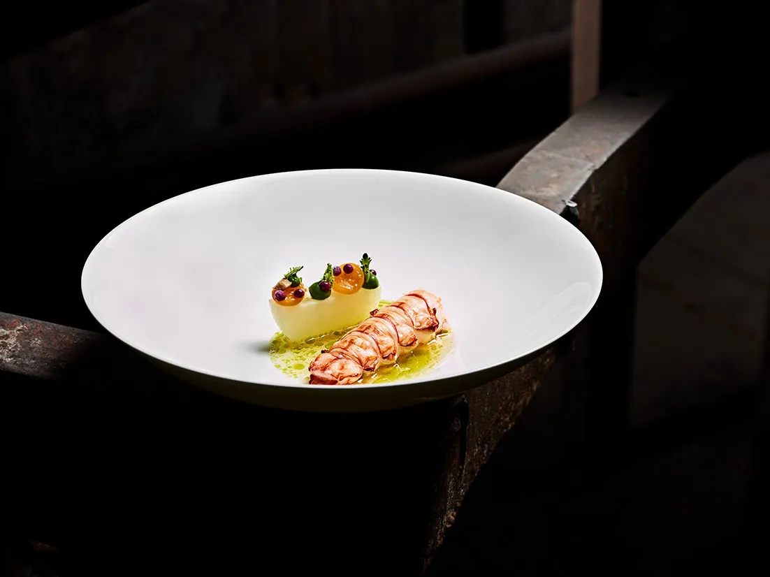 Langostino, Kohlrabi, Physalis, violetter Senf